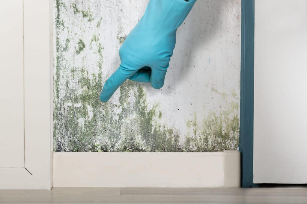 Moisissures sur un mur à cause de l'humidité