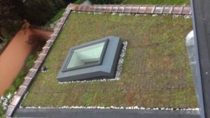 Fenêtre de toit pour toiture plate