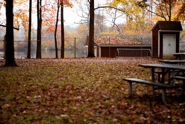 La chute des feuilles en automne